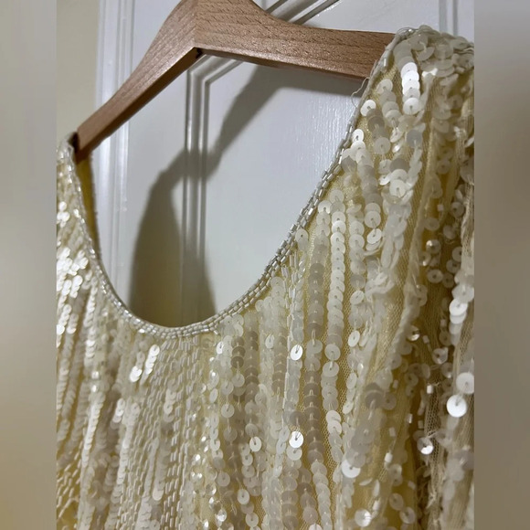 Sequin Lace Midi Dress Size 2 - Picture 11 of 15